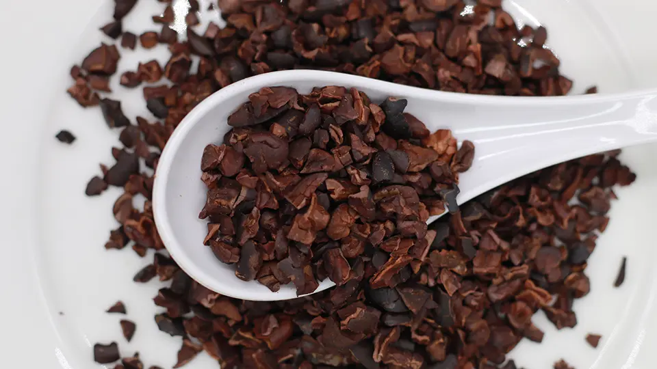 Cacao nibs