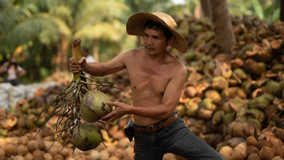 Francisco Rubio, Executive Director of Greenlife Coconut