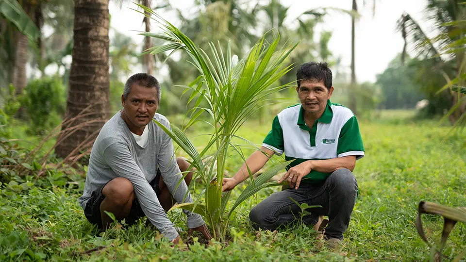 Francisco Rubio with a farmer kneeling at the foot of a young coconut tree