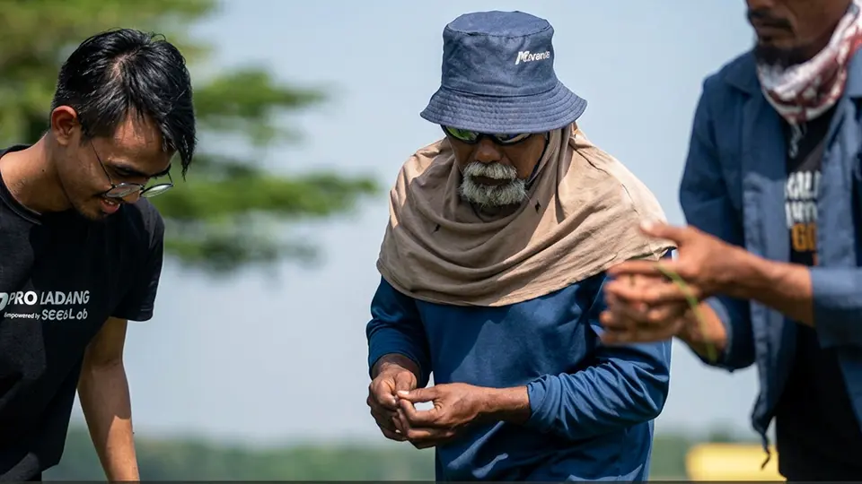Crop health monitoring in rice cultivation