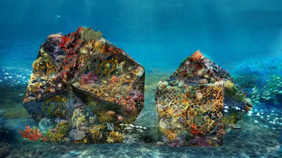 Smart enhanced reefs in action: a customed-made underwater landscape with symbiotic reefs.