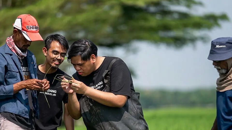Weed scouting in rice cultivation