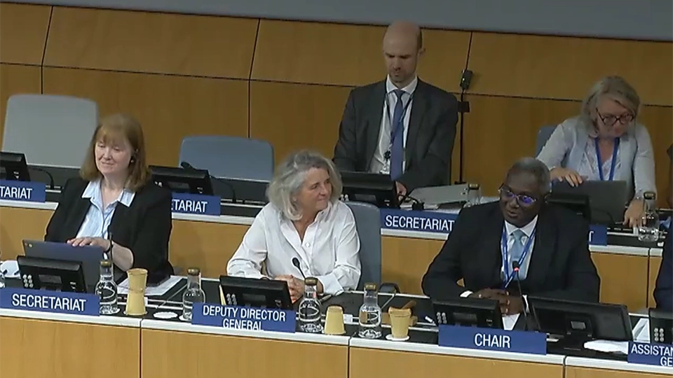 Ms. Michele Woods, Ms. Sylvie Forbin and Mr. Franklin Ponka Seukam seated at the podium in a large conference hall during the Marrakesh Assembly.
