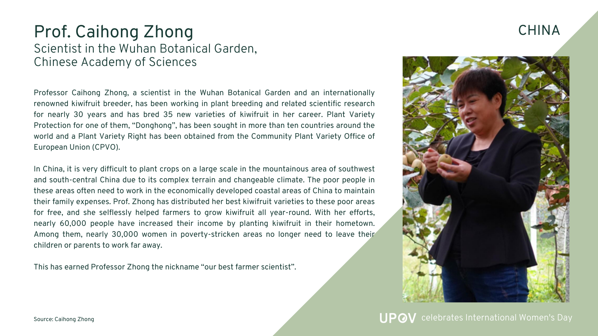 Prof. Caihong Zhong
