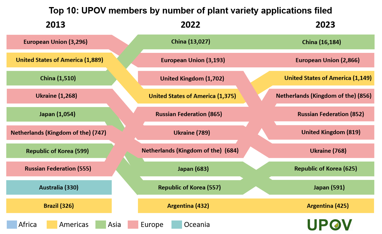 10_top_10_rank_members_applications_filed_2023