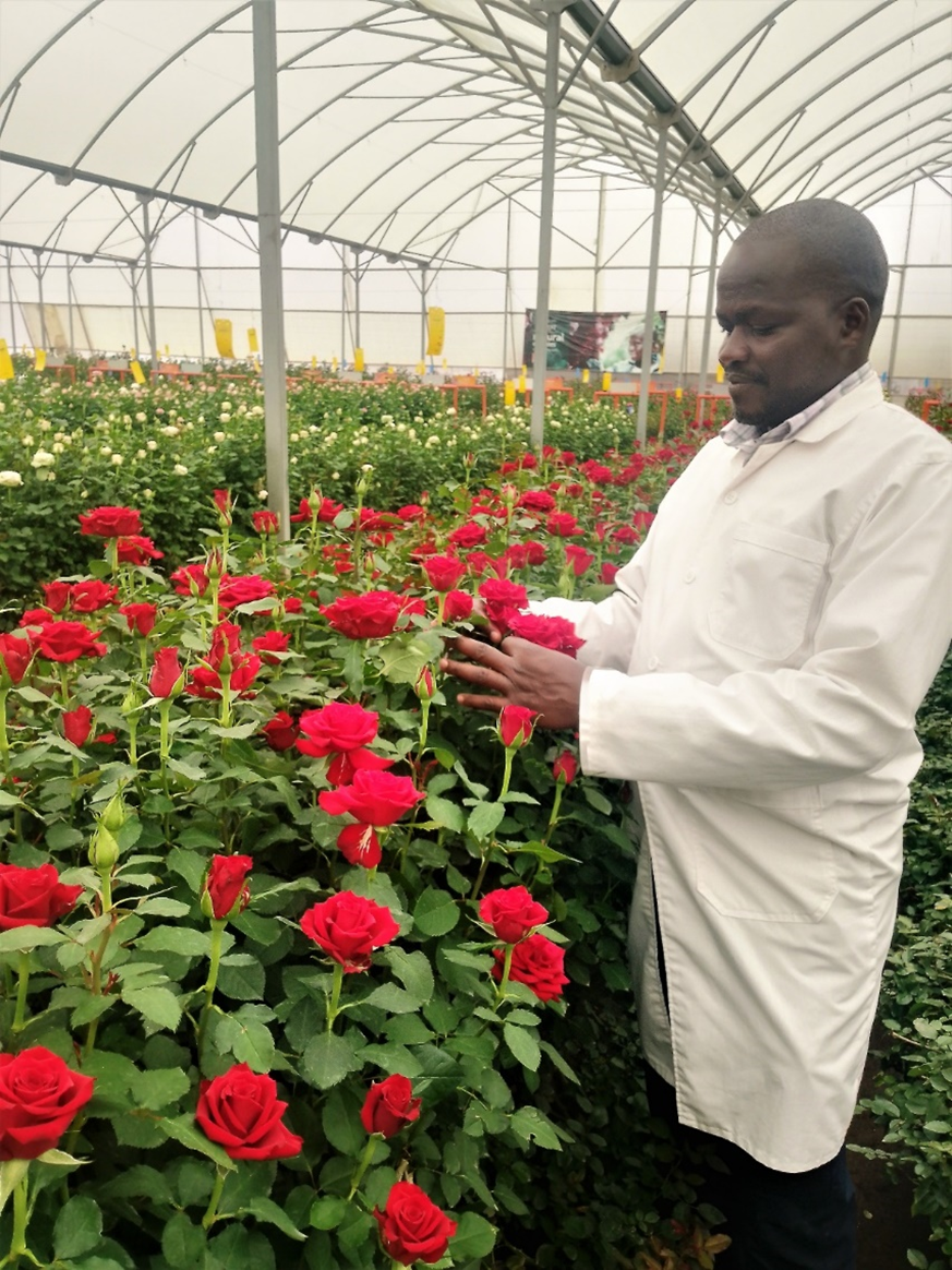ke-robert-okayo-breeder