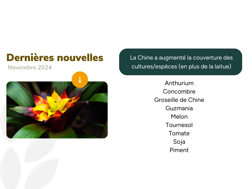 upov-prisma-news-nov-24-cn-fr